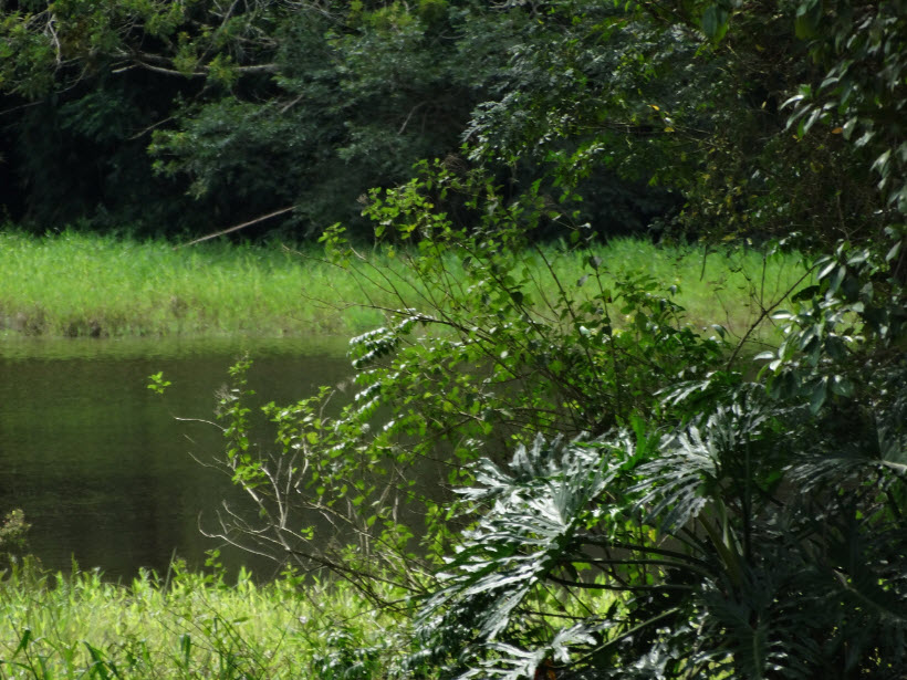 1-natureza-1-UFSCar-Lagoa-01-03-2019-Ass-Com-Reitoria.jpg 1-natureza-1-UFSCar-Lagoa-01-03-2019-Ass-Com-Reitoria.jpg