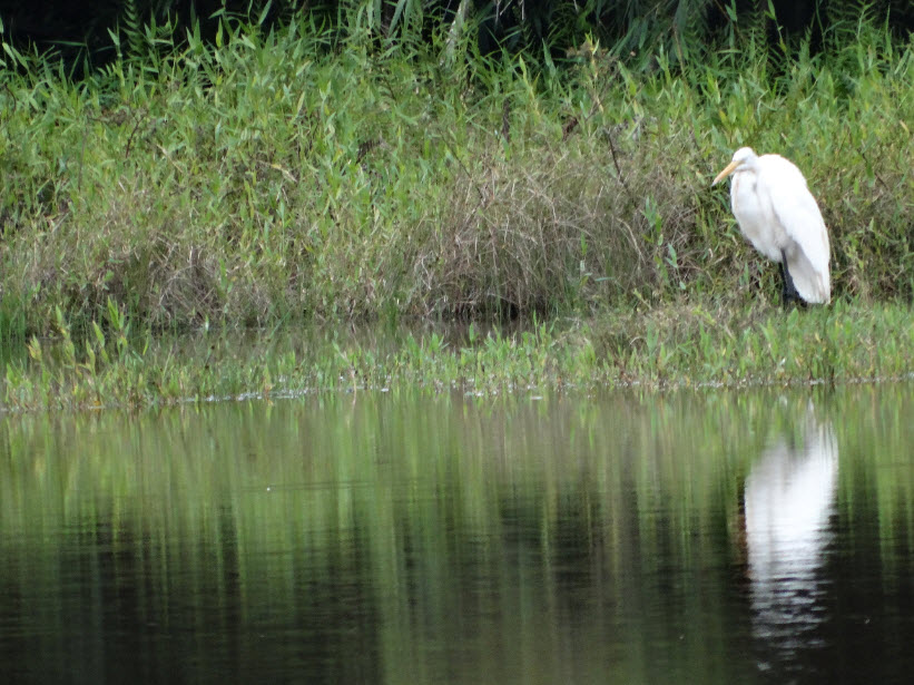 1-natureza-2-UFSCar-Lagoa-01-03-2019-Ass-Com-Reitoria.jpg 1-natureza-2-UFSCar-Lagoa-01-03-2019-Ass-Com-Reitoria.jpg
