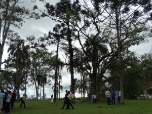 1-natureza-5-UFSCar-Lagoa-01-03-2019-Ass-Com-Reitoria-300x225.jpg 1-natureza-5-UFSCar-Lagoa-01-03-2019-Ass-Com-Reitoria-300x225.jpg
