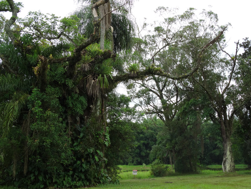 1-natureza-6-UFSCar-Lagoa-01-03-2019-Ass-Com-Reitoria.jpg 1-natureza-6-UFSCar-Lagoa-01-03-2019-Ass-Com-Reitoria.jpg
