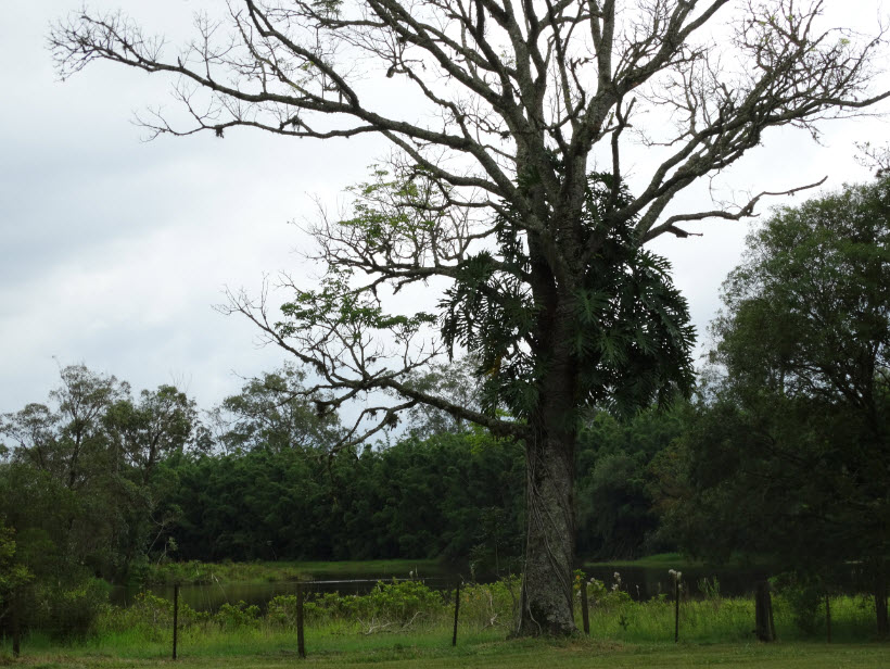 1-natureza-7-UFSCar-Lagoa-01-03-2019-Ass-Com-Reitoria.jpg 1-natureza-7-UFSCar-Lagoa-01-03-2019-Ass-Com-Reitoria.jpg